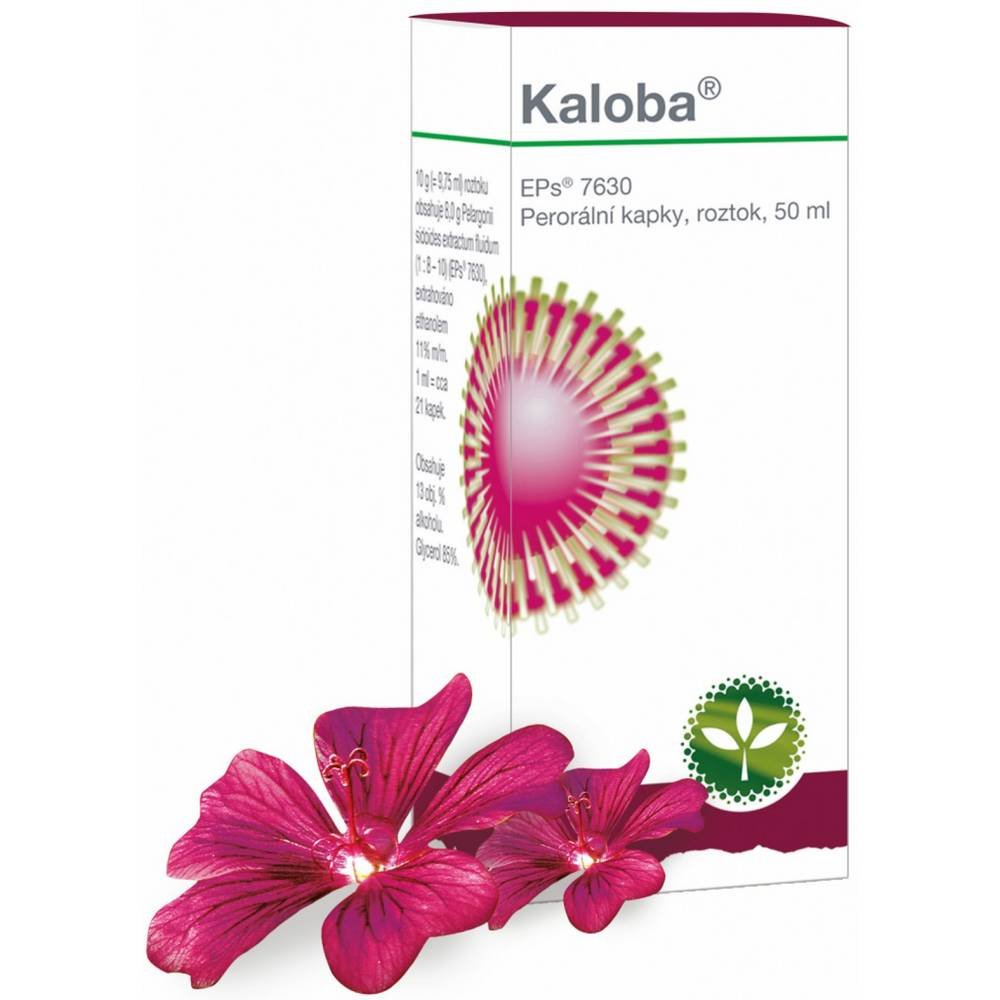 kaloba 1x50ml Kaloba Oral Liquid 50 ml