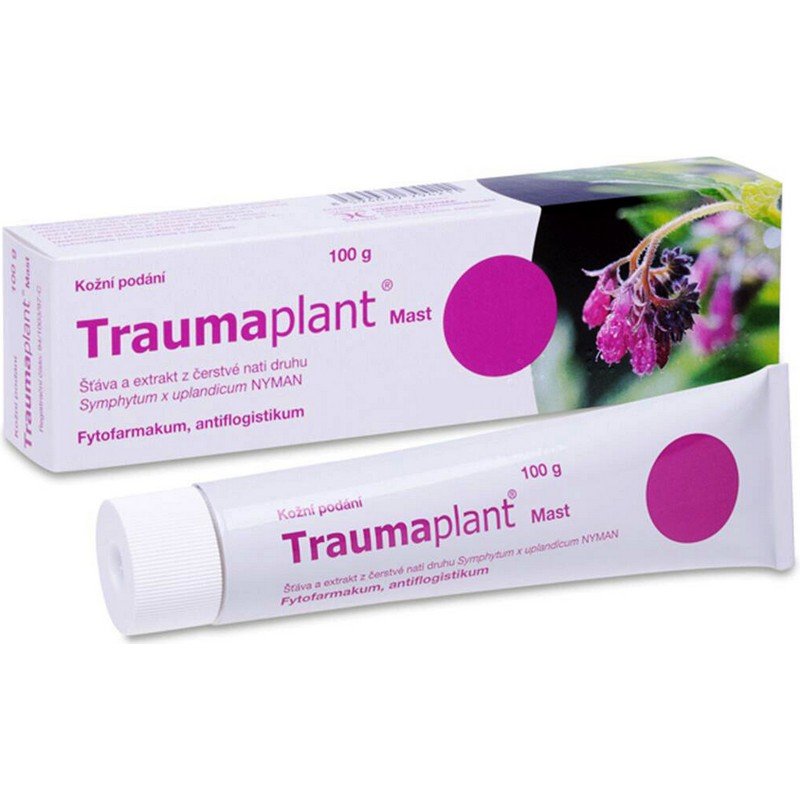 traumaplant drmung 1 x 100 g Traumaplant ointment 100 g