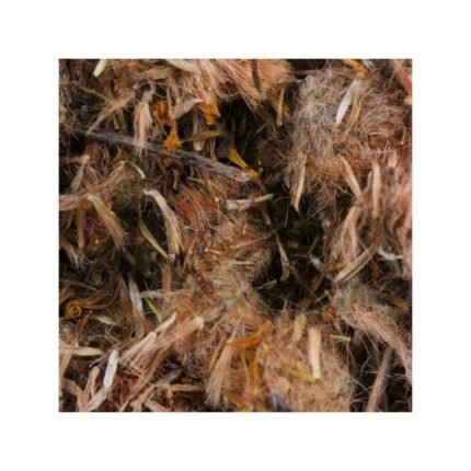 ARNICA FLOWER FULL IPHYM Herbs Arnica montana L.
