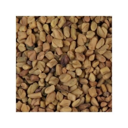 FENUGREEK SEED IPHYM Herbalism Trigonella foenum-graecum L.
