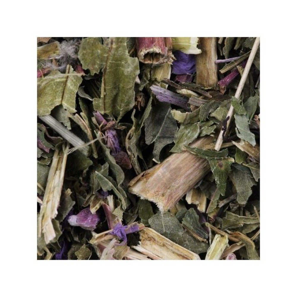 Fireweed plant with small flowers cut IPHYM Herb Epilobium parviflorum Fireweed plant with small flowers cut IPHYM Herb Epilobium parviflorum